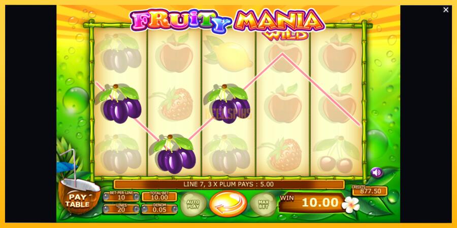 სურათი 4 სათამაშო მანქანა Fruity Mania