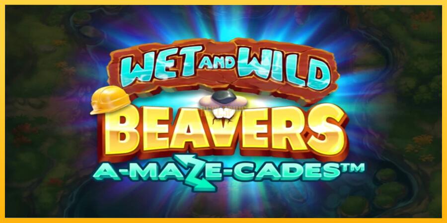 სურათი 1 სათამაშო მანქანა Wet and Wild Beavers