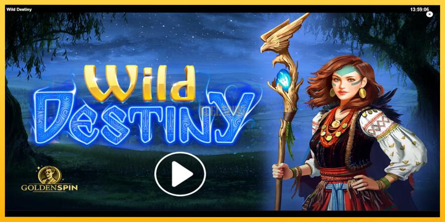 სურათი 1 სათამაშო მანქანა Wild Destiny