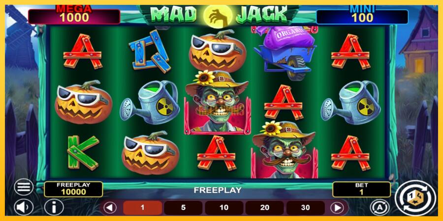 სურათი 1 სათამაშო მანქანა Mad Jack Hold & Win