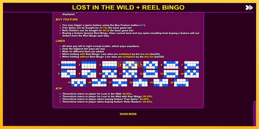 სურათი 7 სათამაშო მანქანა Lost in the Wild with Reel Bingo