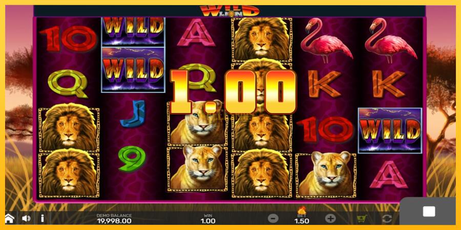 სურათი 2 სათამაშო მანქანა Wild Lion with Reel Bingo