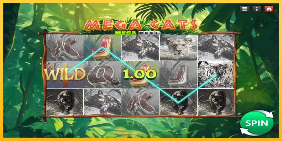 სურათი 3 სათამაშო მანქანა Mega Cats Mega Reel