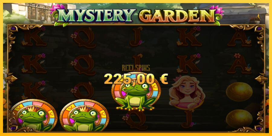 სურათი 5 სათამაშო მანქანა Mystery Garden