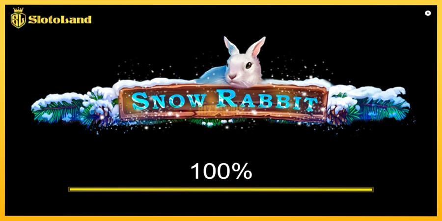 სურათი 1 სათამაშო მანქანა Snow Rabbit