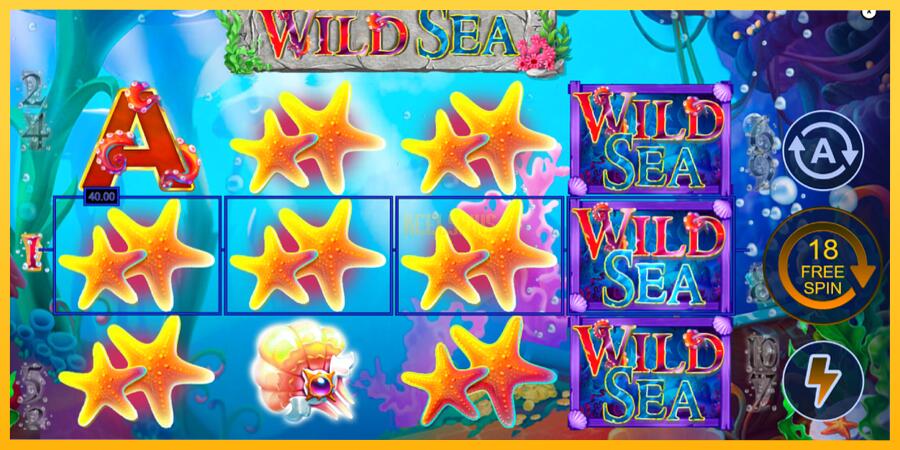 სურათი 4 სათამაშო მანქანა Wild Sea