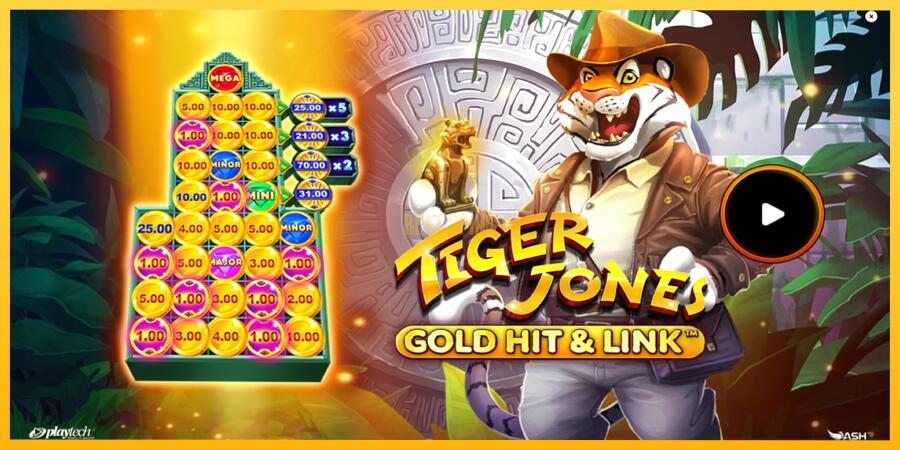 სურათი 1 სათამაშო მანქანა Gold Hit & Link: Tiger Jones