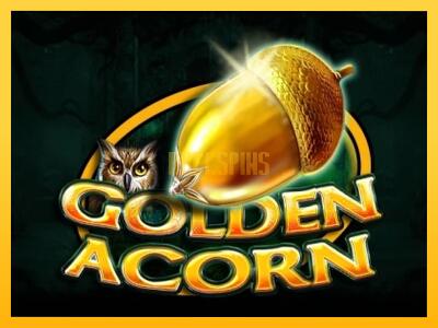 სათამაშო მანქანა Golden Acorn