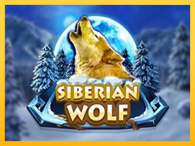 სათამაშო მანქანა Siberian Wolf