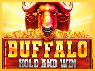 სათამაშო მანქანა Buffalo Hold and Win Extreme