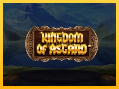 სათამაშო მანქანა Kingdom of Asgard