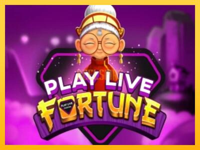 სათამაშო მანქანა Playlive Fortune