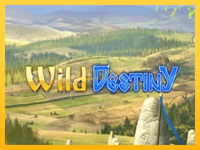 სათამაშო მანქანა Wild Destiny