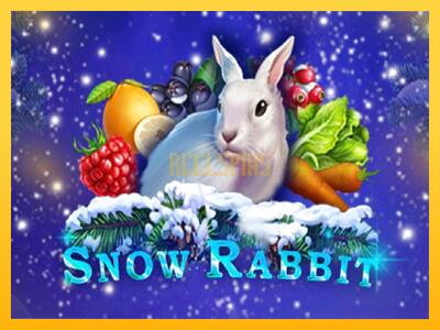 სათამაშო მანქანა Snow Rabbit