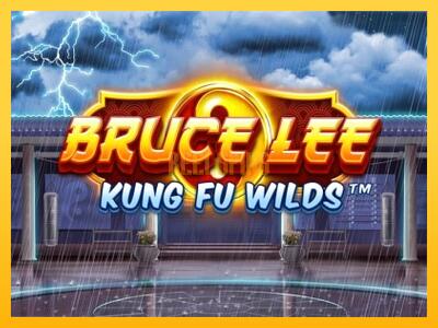 სათამაშო მანქანა Bruce Lee Kung Fu Wilds