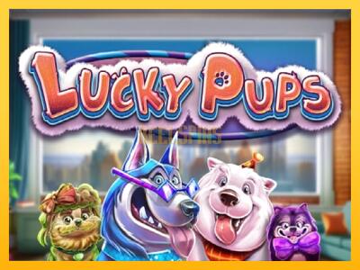 სათამაშო მანქანა Lucky Pups