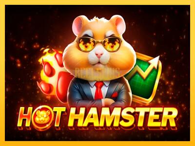 სათამაშო მანქანა Hot Hamster