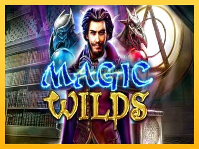 სათამაშო მანქანა Magic Wilds