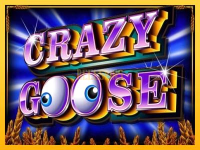 სათამაშო მანქანა Crazy Goose